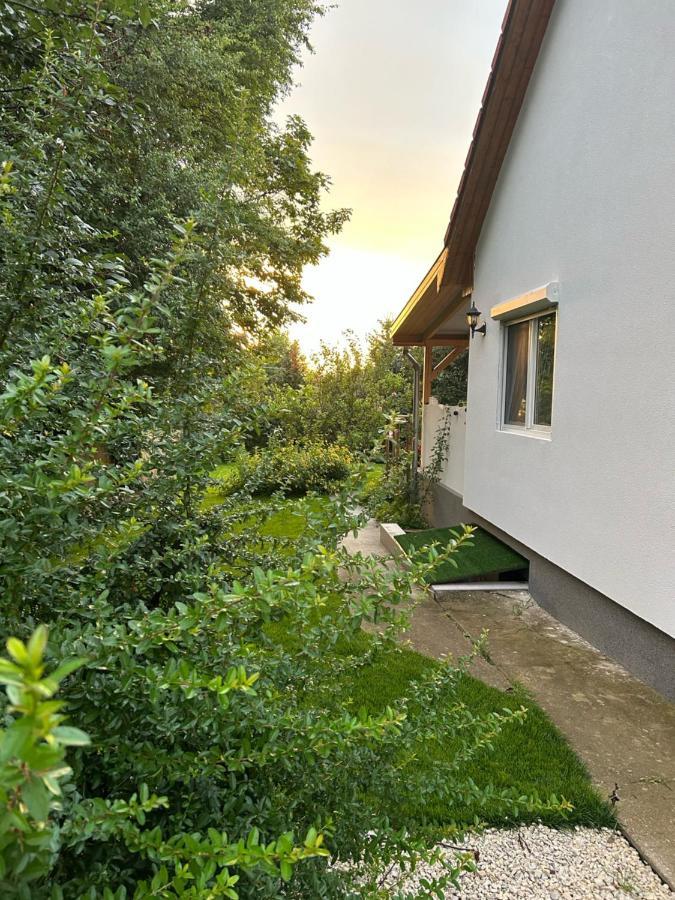 Villa Kisvirag Vendeghaz Balatonvilágos Exterior foto