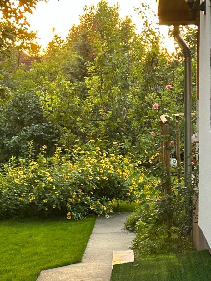 Villa Kisvirag Vendeghaz Balatonvilágos Exterior foto